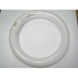 Tub neon circular 22W